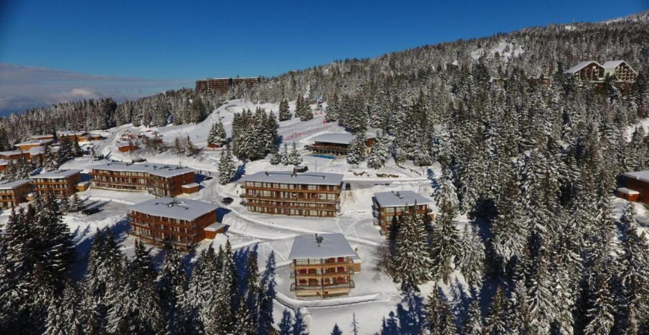 Le Cocon 4 Saisons A Chamrousse 1700 - Droseras A14 - Les Villages Du Bachat Exteriör bild
